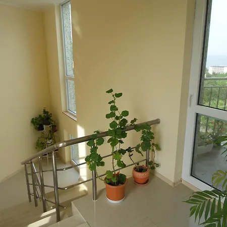 Paradise 3* Golden Sands